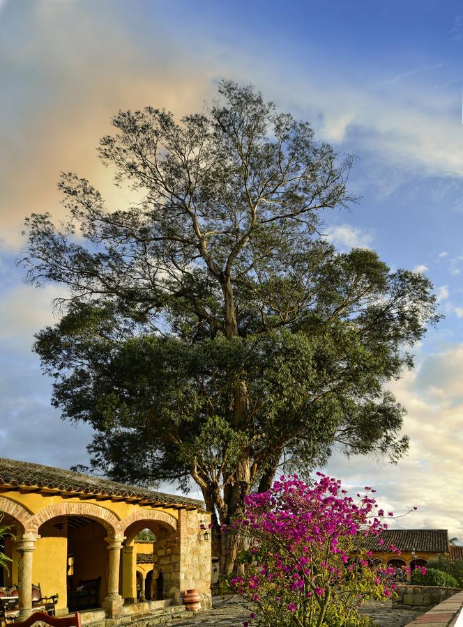 Hotel Hacienda El Salitre ไพพ่า ภายนอก รูปภาพ